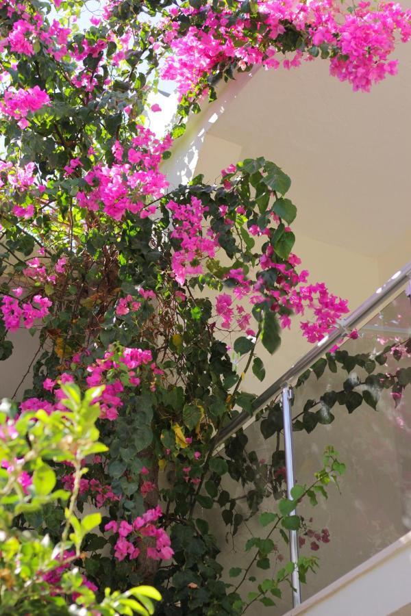Acelya Otel Bodrum Exterior foto